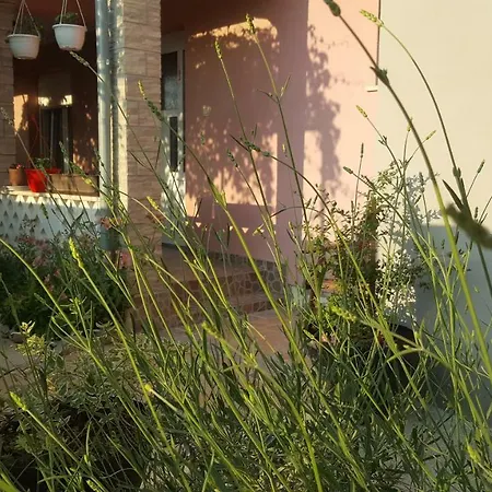 Ivana Apartman